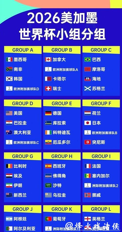 2026年世界杯参赛球队详细分析报告